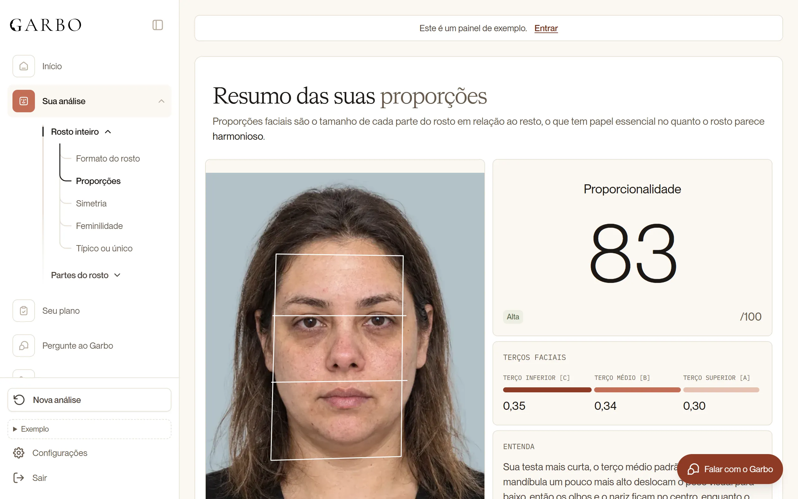 Tela de Proporções do painel, com a foto marcada e a nota de proporcionalidade